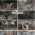 삼시세끼 Light.E07.241101.1080p.H264-F1RST