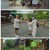 추성훈의 밥값은 해야지.E04.250816.1080p-F1RST