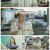 살림하는 남자들 시즌2.E419.250823.1080p-F1RST